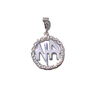 (image for) NA Recovery Pendant