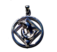 (image for) NA Recovery Pendant